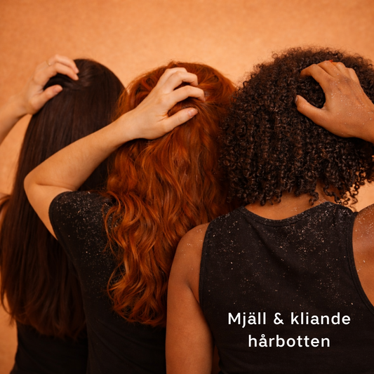 Mjällschampo Nässla