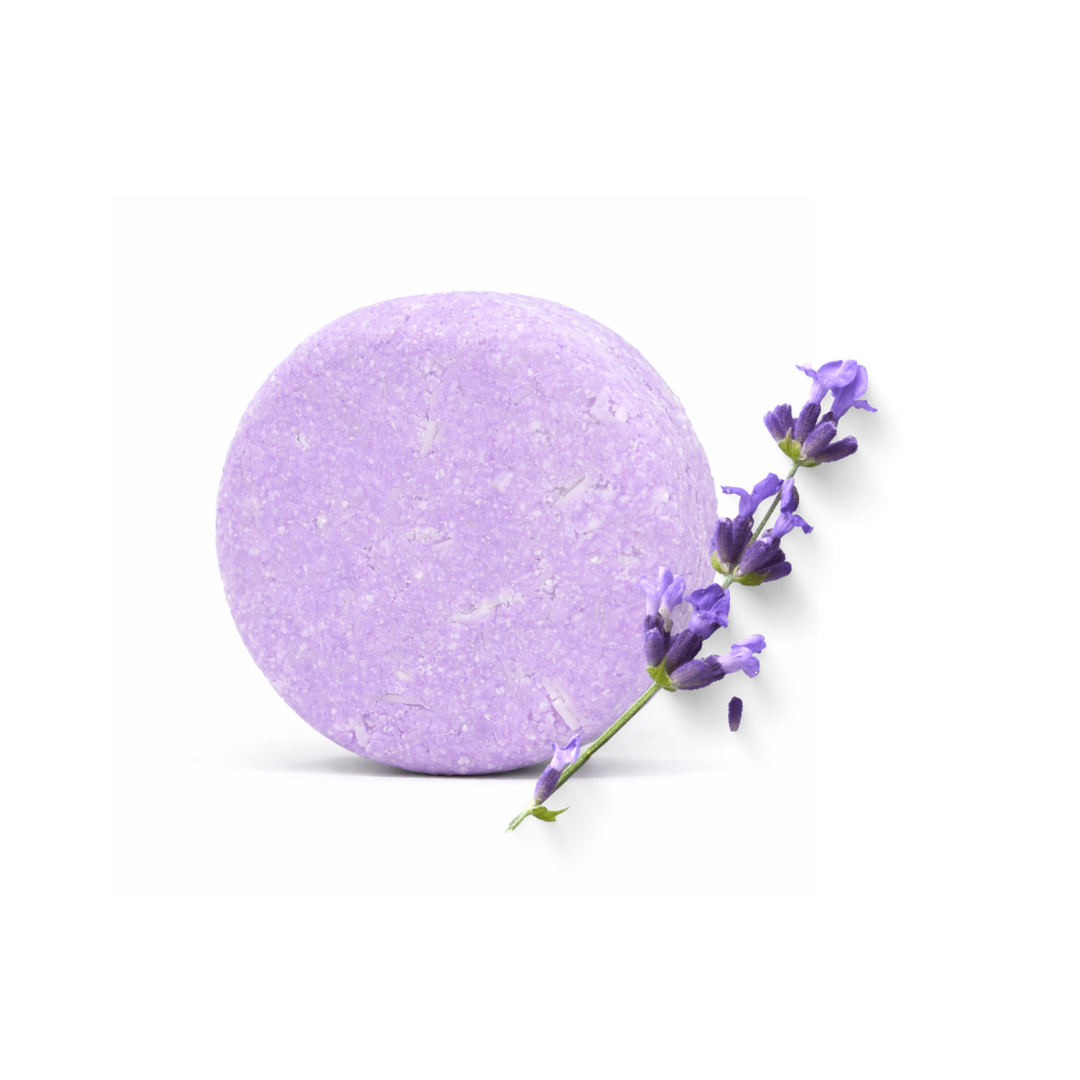 Lavendel Schampokaka